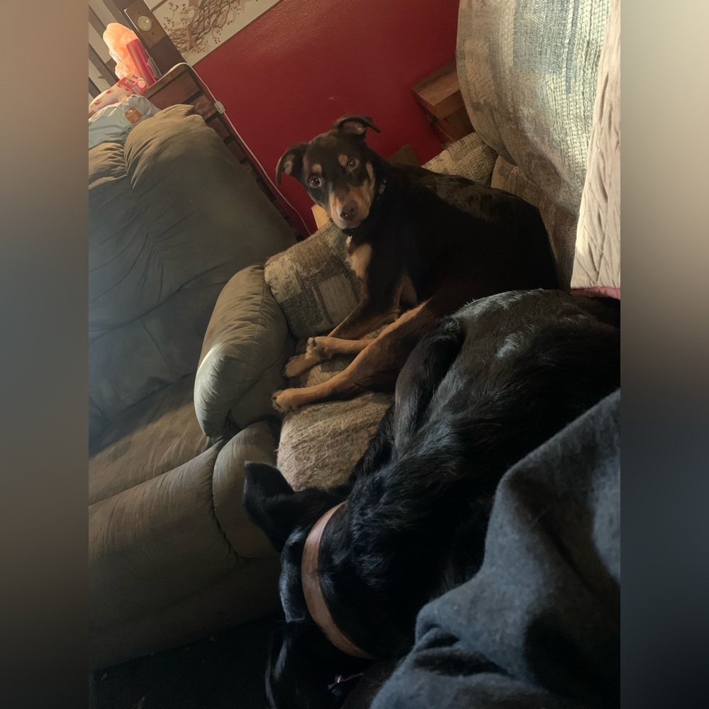 Still here! - Picture 12 of 12